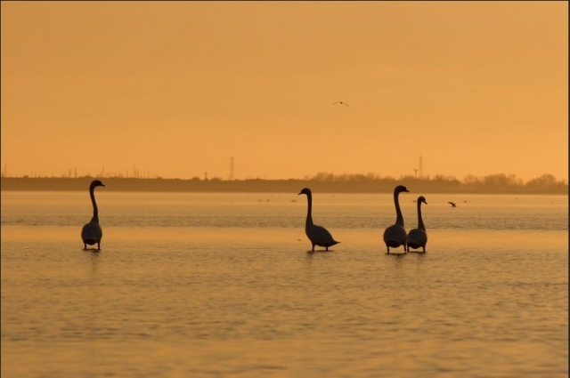 navegando en la laguna 
